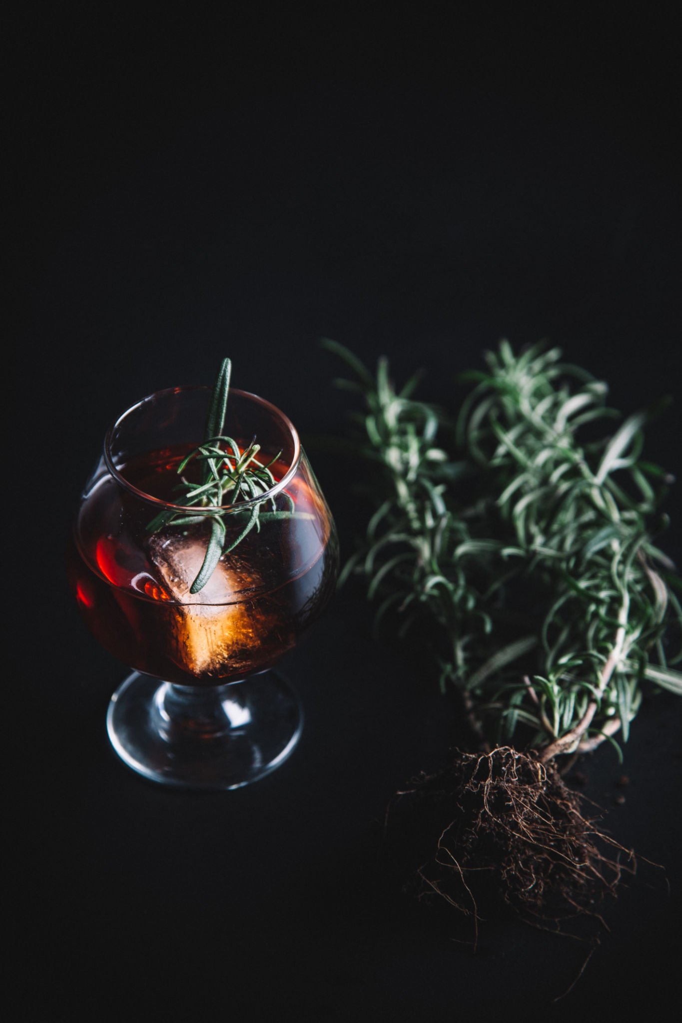 Craft cocktail with botanical garnish